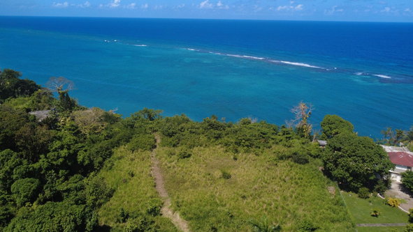 Thirteenth image of 45 & 65 Jamaica Beach in Jamaica Beach, St. Mary, Jamaica - property is For Sale