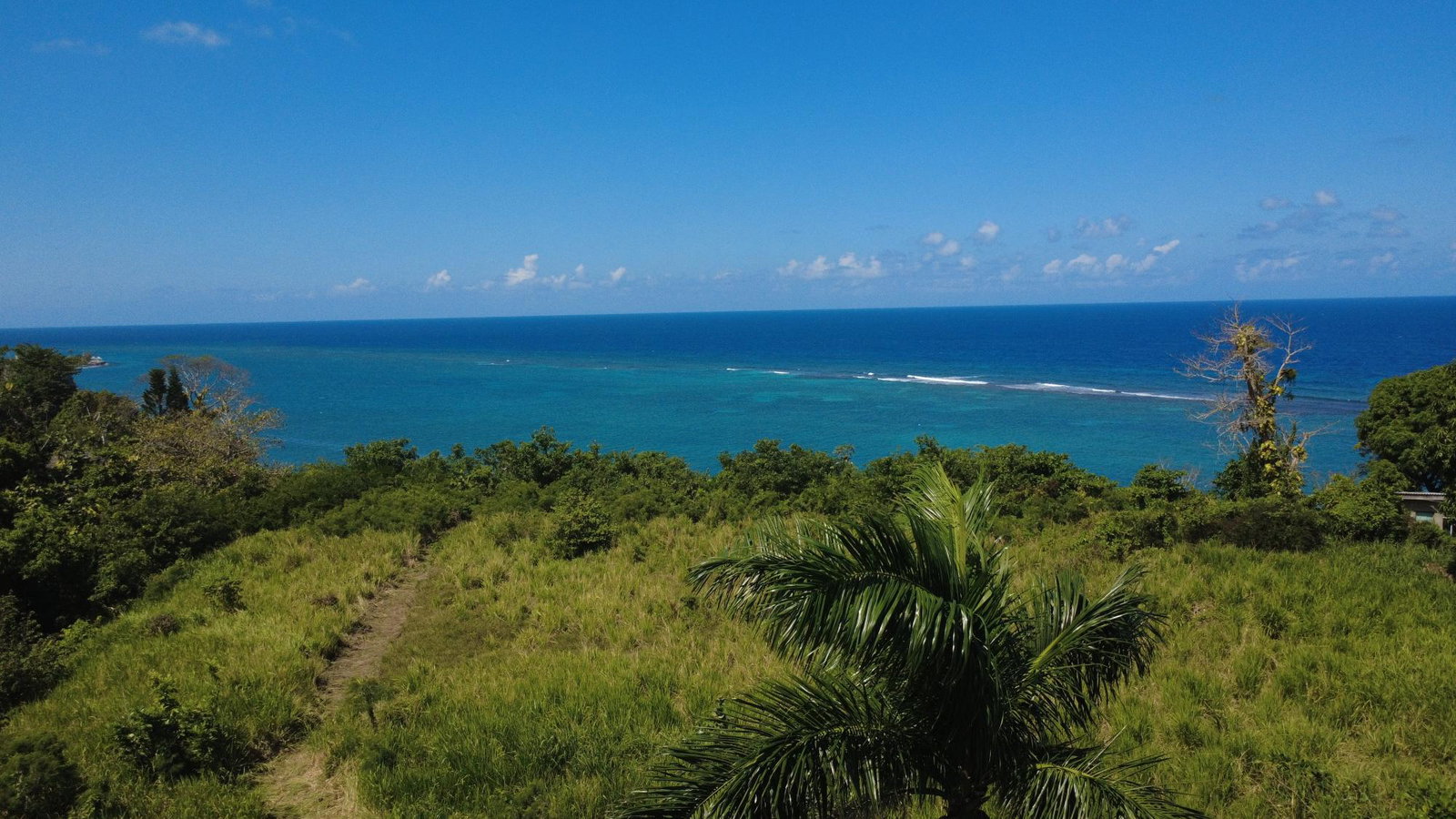 Fourteenth image of 45 & 65 Jamaica Beach in Jamaica Beach, St. Mary, Jamaica - property is For Sale