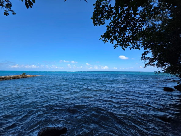Sixteenth image of 45 & 65 Jamaica Beach in Jamaica Beach, St. Mary, Jamaica - property is For Sale