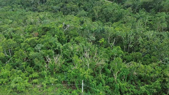 First image of Land Part of Upton in Ocho Rios, St. Ann, Jamaica - property is For Sale