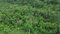 First image of Land Part of Upton in Ocho Rios, St. Ann, Jamaica - property is For Sale