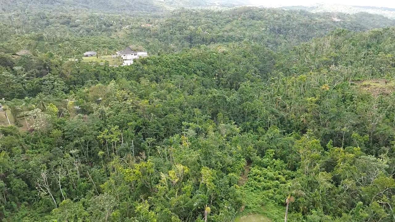 Second image of Land Part of Upton in Ocho Rios, St. Ann, Jamaica - property is For Sale