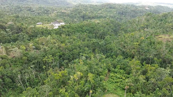 Second image of Land Part of Upton in Ocho Rios, St. Ann, Jamaica - property is For Sale