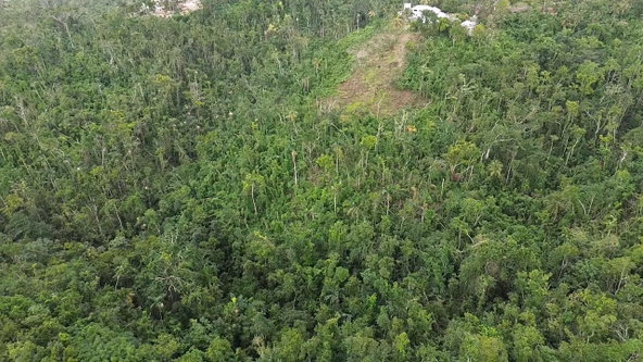 Fourth image of Land Part of Upton in Ocho Rios, St. Ann, Jamaica - property is For Sale