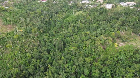 Fifth image of Land Part of Upton in Ocho Rios, St. Ann, Jamaica - property is For Sale