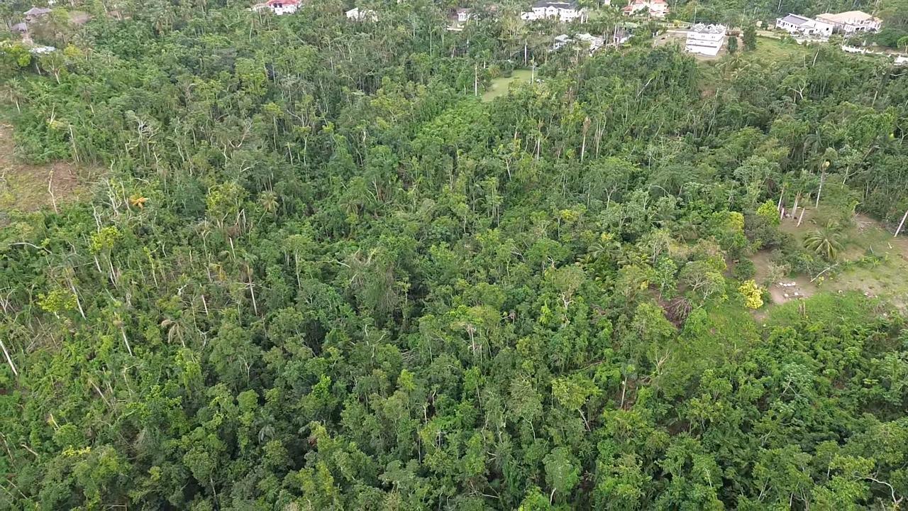 Sixth image of Land Part of Upton in Ocho Rios, St. Ann, Jamaica - property is For Sale