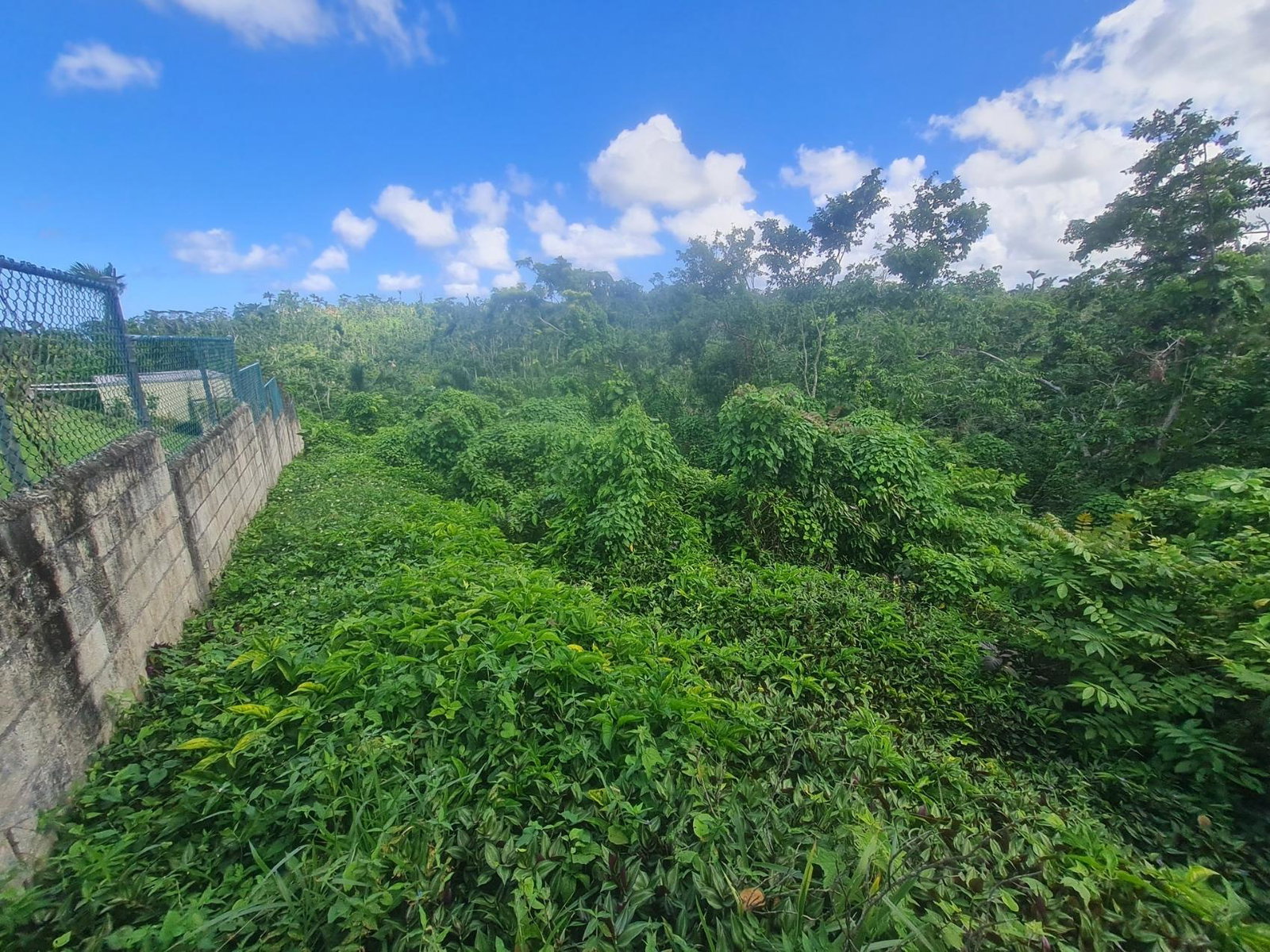 Seventh image of Land Part of Upton in Ocho Rios, St. Ann, Jamaica - property is For Sale