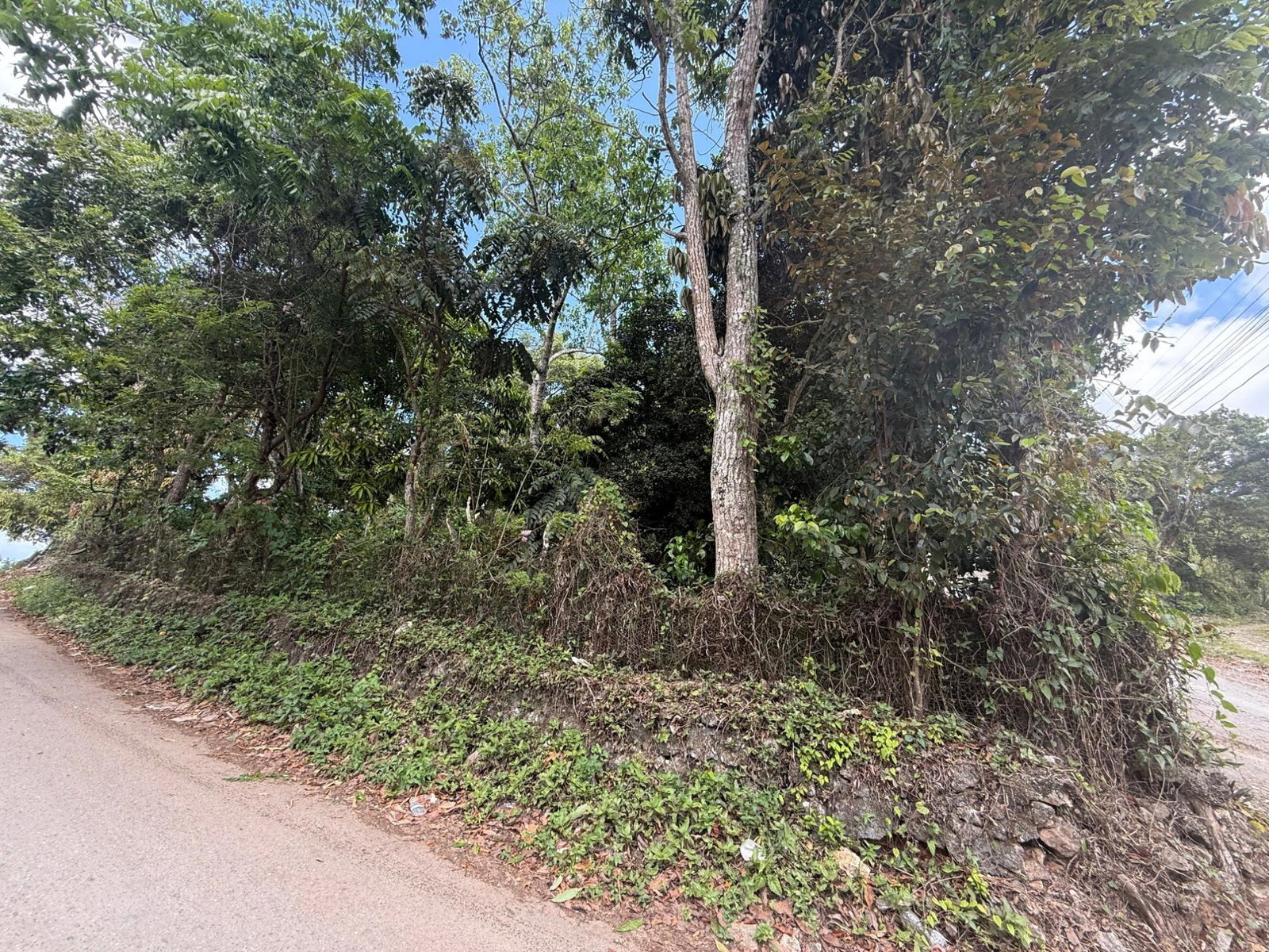 Fifth image of Lincoln Road, St. Ann in Lincoln, St. Ann, Jamaica - property is For Sale