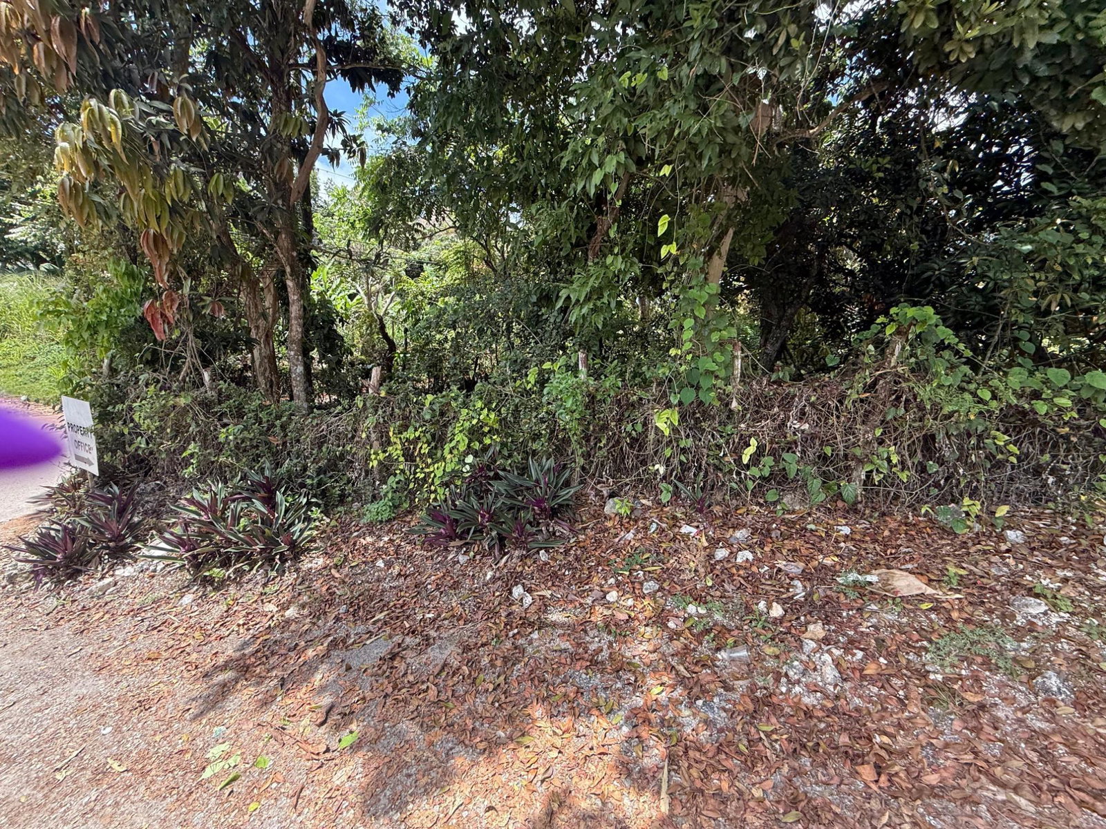 Ninth image of Lincoln Road, St. Ann in Lincoln, St. Ann, Jamaica - property is For Sale