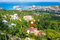 First image of 20 Shaw Park in Shaw Park, St. Ann, Jamaica - property is For Sale