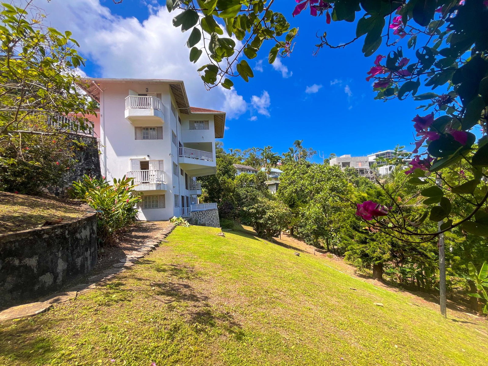 Twenty-Second image of 20 Shaw Park in Shaw Park, St. Ann, Jamaica - property is For Sale
