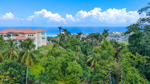 Twenty-Ninth image of 20 Shaw Park in Shaw Park, St. Ann, Jamaica - property is For Sale