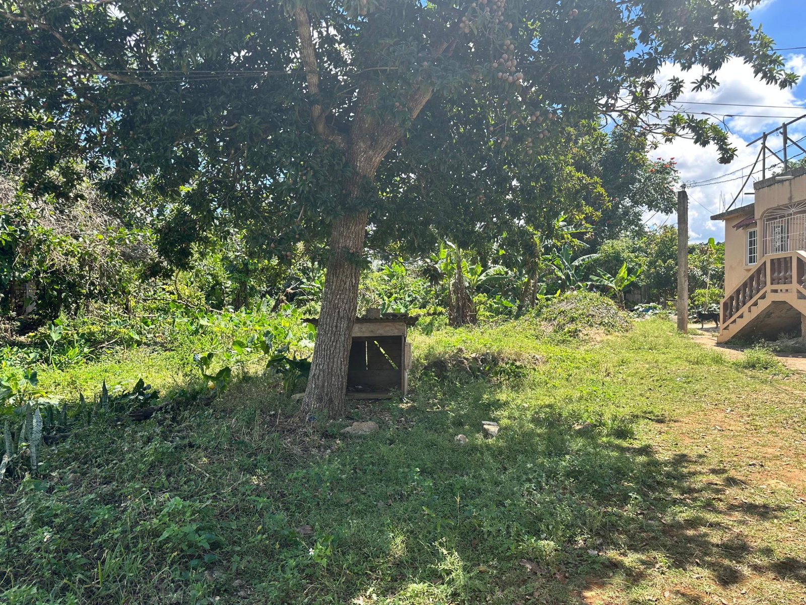 Second image of Heartease, Manchester in Heartease, Manchester, Jamaica - property is For Sale
