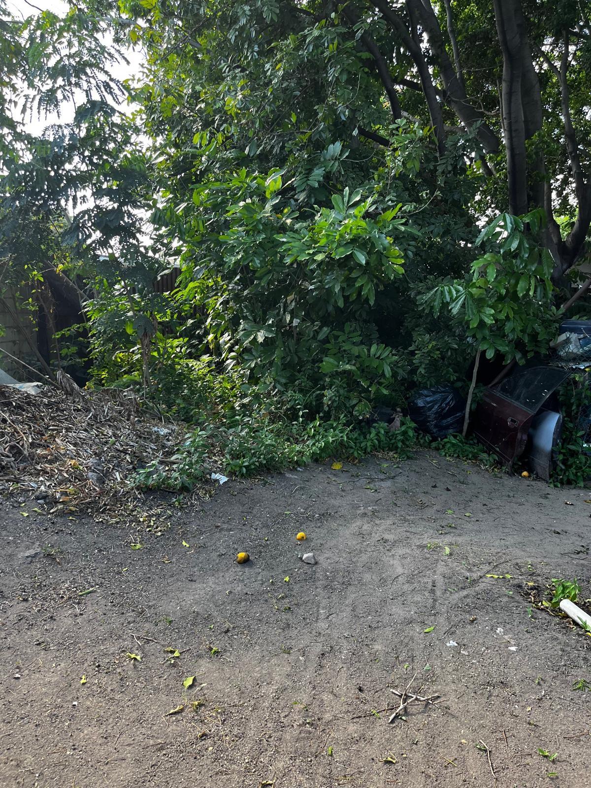 Third image of 3 Verene Avenue. Cassia Par in Kingston 10, St. Andrew, Jamaica - property is For Sale