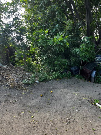 Third image of 3 Verene Avenue. Cassia Par in Kingston 10, St. Andrew, Jamaica - property is For Sale