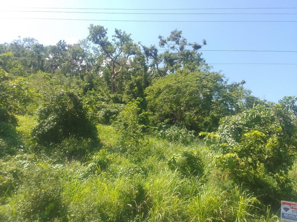 First image of Duncans Avenue in DUNCAN BAY, Trelawny, Jamaica - property is For Sale