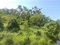 First image of Duncans Avenue in DUNCAN BAY, Trelawny, Jamaica - property is For Sale