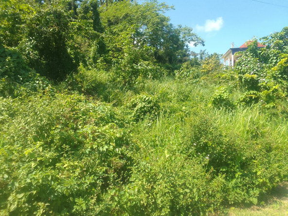Third image of Duncans Avenue in DUNCAN BAY, Trelawny, Jamaica - property is For Sale