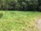 First image of Chippenham Park, Bamboo in Bamboo, St. Ann, Jamaica - property is For Sale