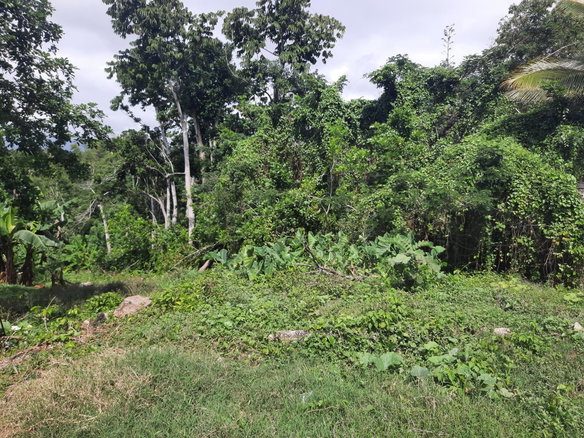 First image of Washington Dr, Rose Hall in Rose Hall, St. Catherine, Jamaica - property is For Sale