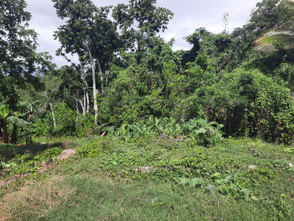 First image of Washington Dr, Rose Hall in Rose Hall, St. Catherine, Jamaica - property is For Sale