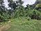 First image of Washington Dr, Rose Hall in Rose Hall, St. Catherine, Jamaica - property is For Sale