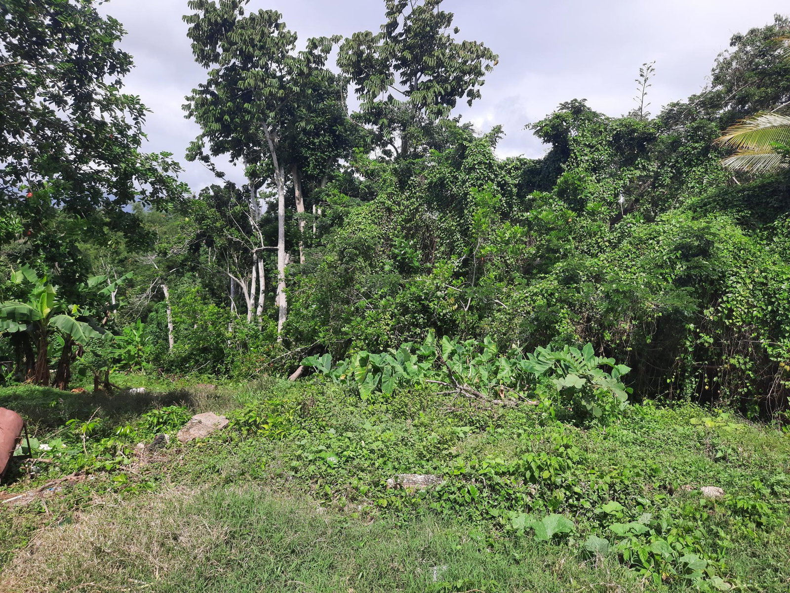 Fourth image of Washington Dr, Rose Hall in Rose Hall, St. Catherine, Jamaica - property is For Sale