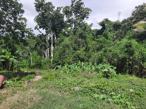Fourth image of Washington Dr, Rose Hall in Rose Hall, St. Catherine, Jamaica - property is For Sale
