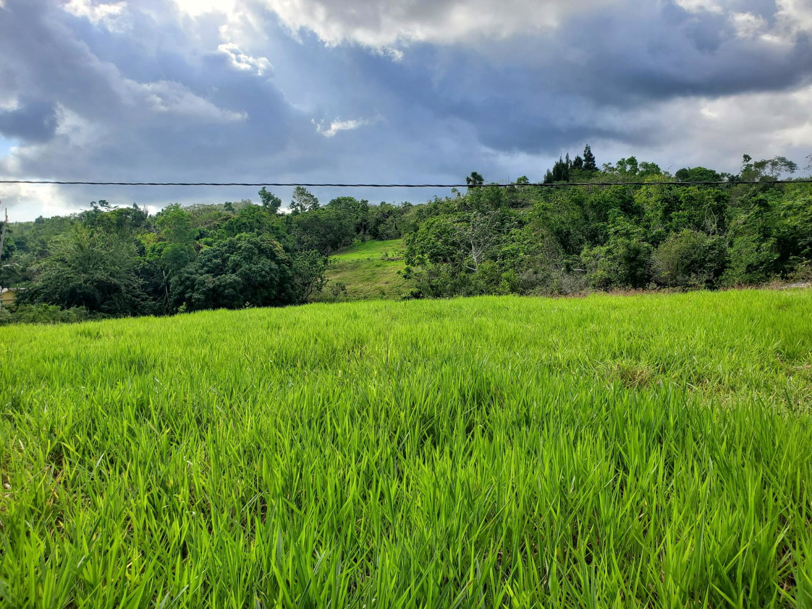 First image of Smithfield in Smithfield, Manchester, Jamaica - property is For Sale