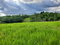 First image of Smithfield in Smithfield, Manchester, Jamaica - property is For Sale
