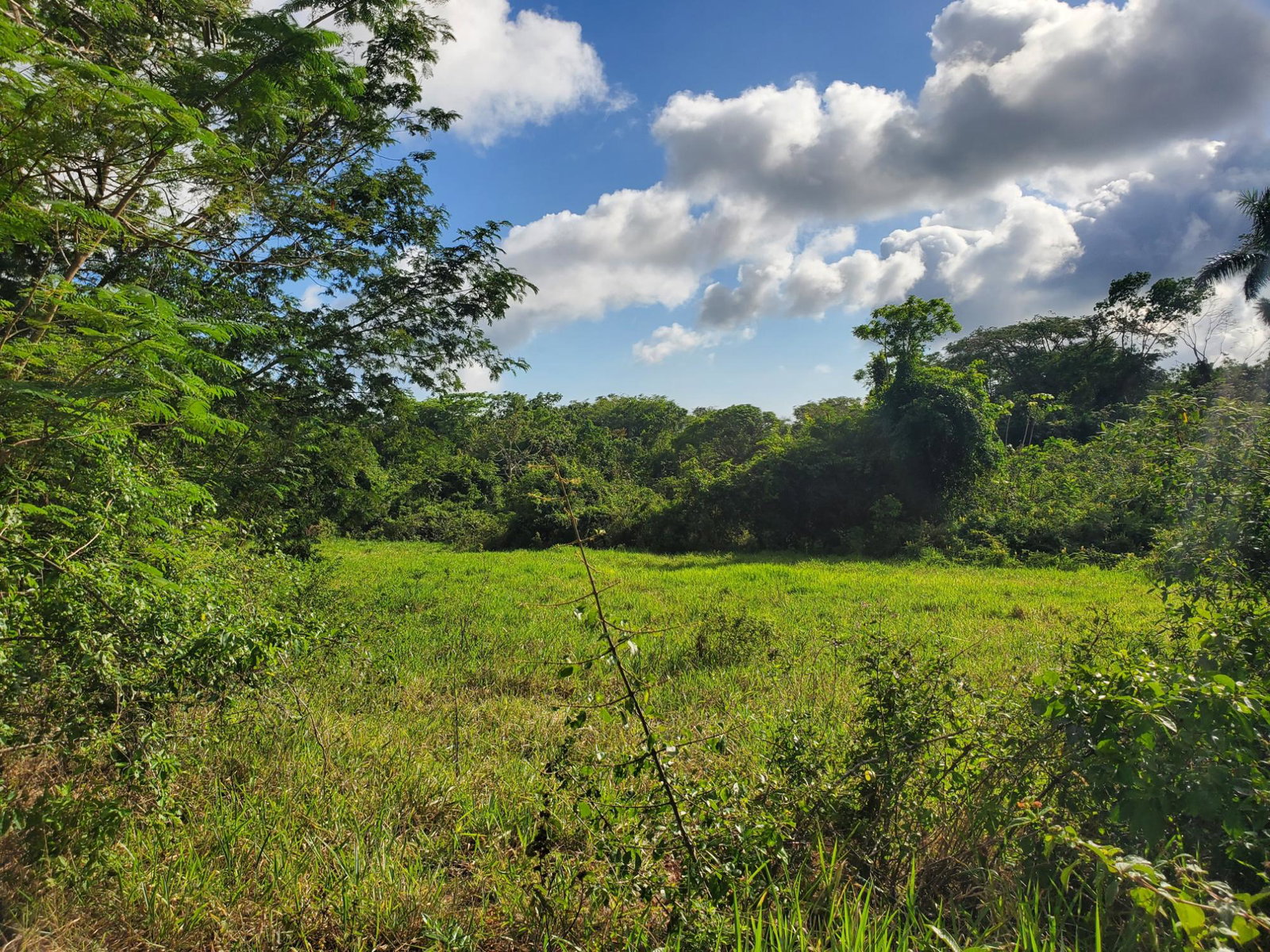 Second image of Smithfield in Smithfield, Manchester, Jamaica - property is For Sale