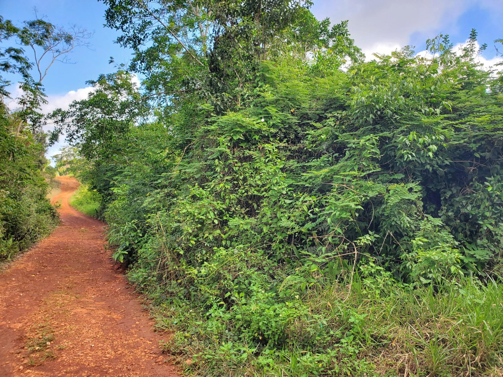 Third image of Smithfield in Smithfield, Manchester, Jamaica - property is For Sale