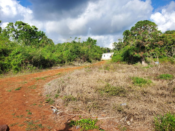 Eighth image of Smithfield in Smithfield, Manchester, Jamaica - property is For Sale