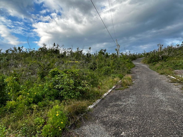 Sixth image of 200 Culloden, Whitehouse in WHITEHOUSE, Westmoreland, Jamaica - property is For Sale