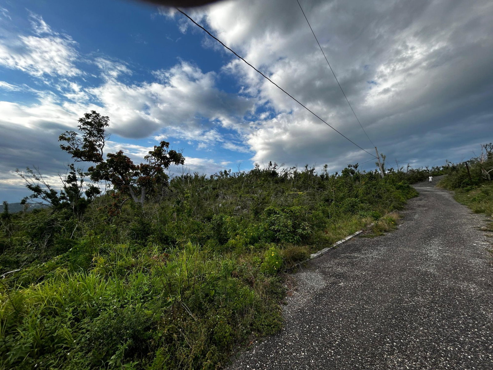 Seventh image of 200 Culloden, Whitehouse in WHITEHOUSE, Westmoreland, Jamaica - property is For Sale