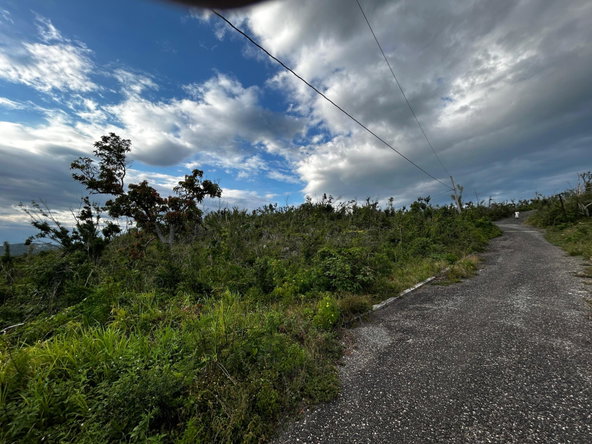Seventh image of 200 Culloden, Whitehouse in WHITEHOUSE, Westmoreland, Jamaica - property is For Sale