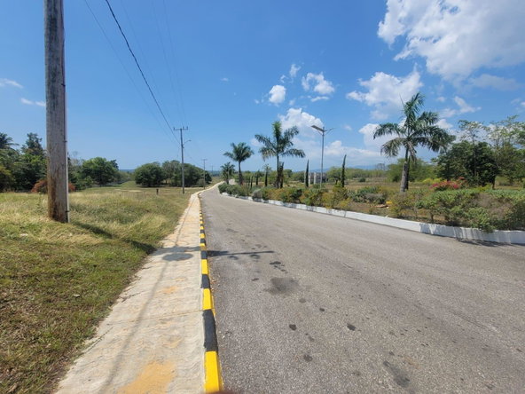 Fifteenth image of Lot 256 Palmbrook Estate in Lacovia, St. Elizabeth, Jamaica - property is For Sale