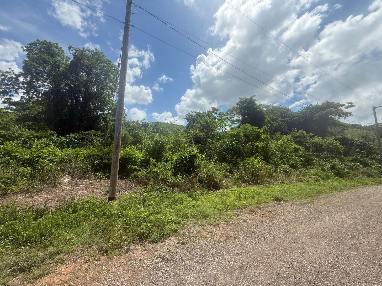 Fifth image of 80 Puie Drive, Cardiff Hall in Runaway Bay, St. Ann, Jamaica - property is For Sale
