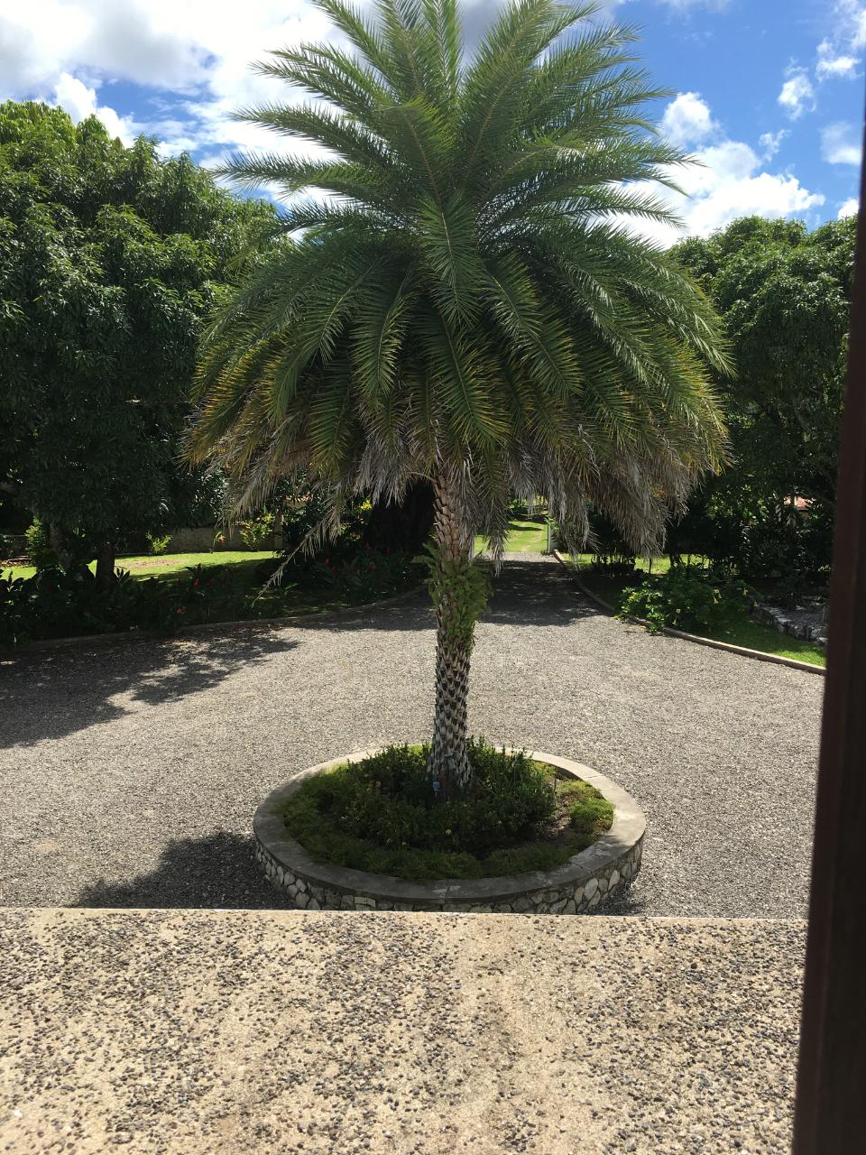 Sixth image of Oracabessa, st Mary in Oracabessa, St. Mary, Jamaica - property is For Sale