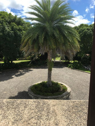 Sixth image of Oracabessa, st Mary in Oracabessa, St. Mary, Jamaica - property is For Sale