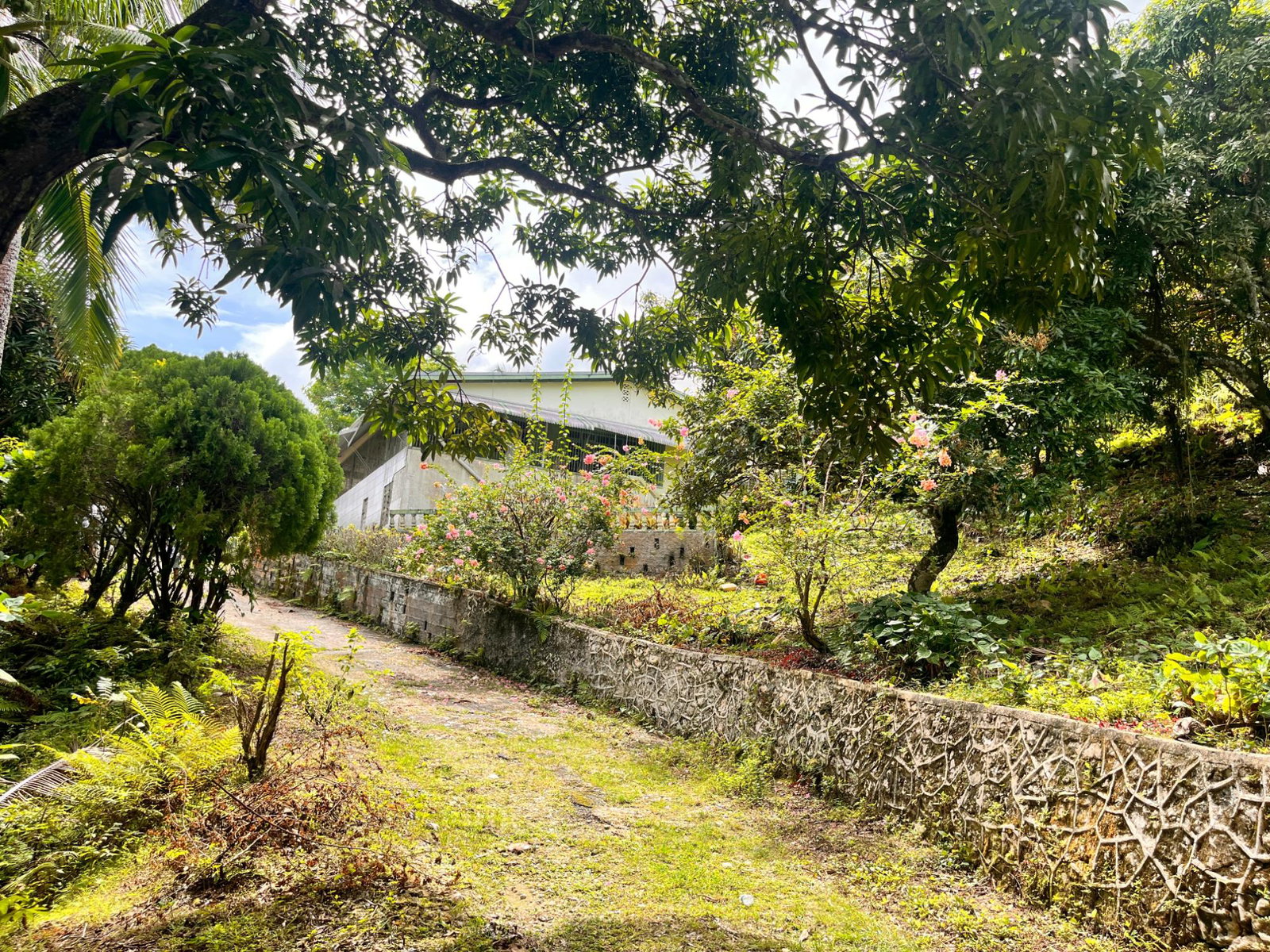 First image of Lime Hall- st Ann in Lime Hall, St. Ann, Jamaica - property is For Sale