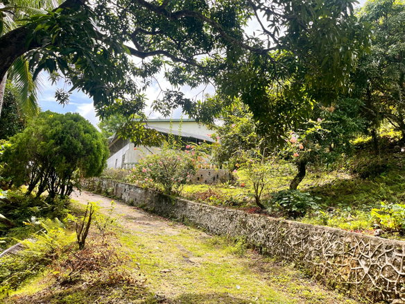 First image of Lime Hall- st Ann in Lime Hall, St. Ann, Jamaica - property is For Sale