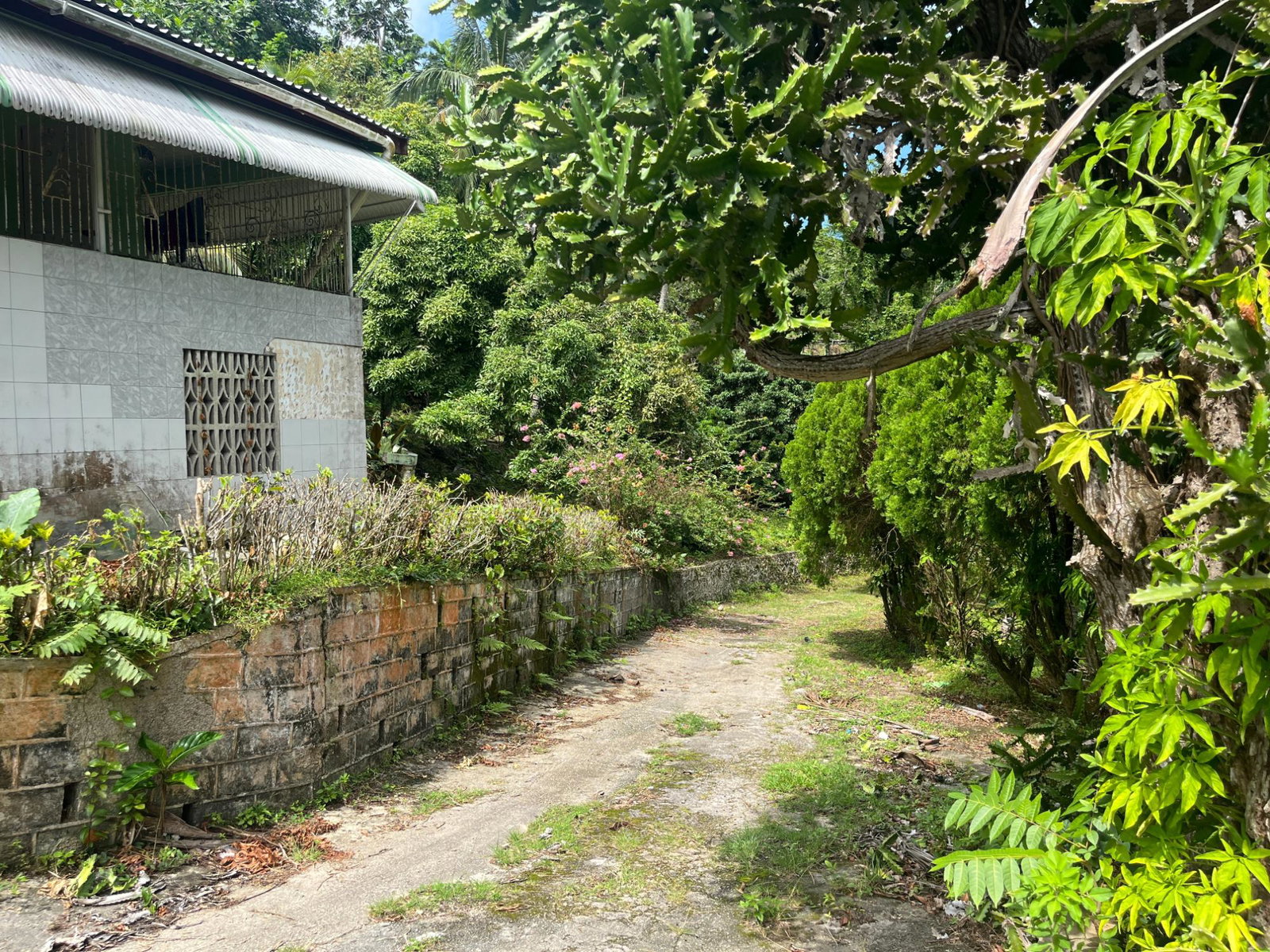 Eleventh image of Lime Hall- st Ann in Lime Hall, St. Ann, Jamaica - property is For Sale