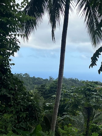 Sixteenth image of Lime Hall- st Ann in Lime Hall, St. Ann, Jamaica - property is For Sale