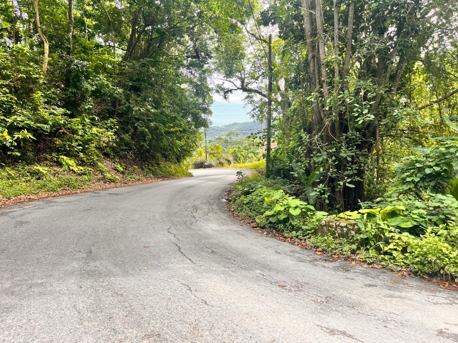 Twenty-Fourth image of Lime Hall- st Ann in Lime Hall, St. Ann, Jamaica - property is For Sale