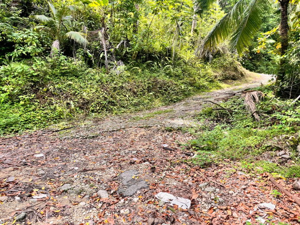 Twenty-Ninth image of Lime Hall- st Ann in Lime Hall, St. Ann, Jamaica - property is For Sale