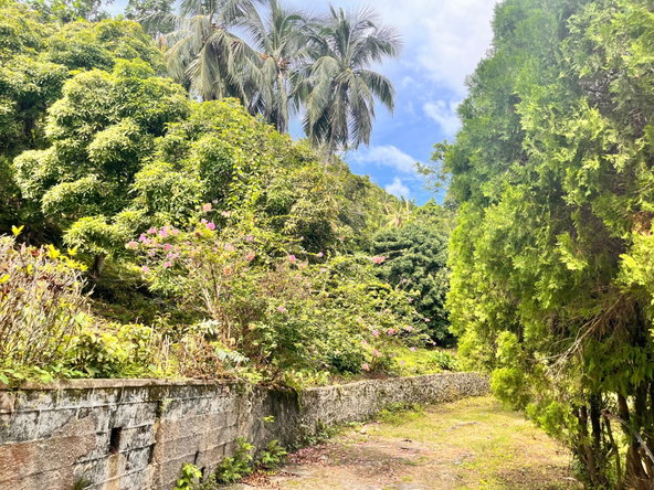 Thirtieth image of Lime Hall- st Ann in Lime Hall, St. Ann, Jamaica - property is For Sale