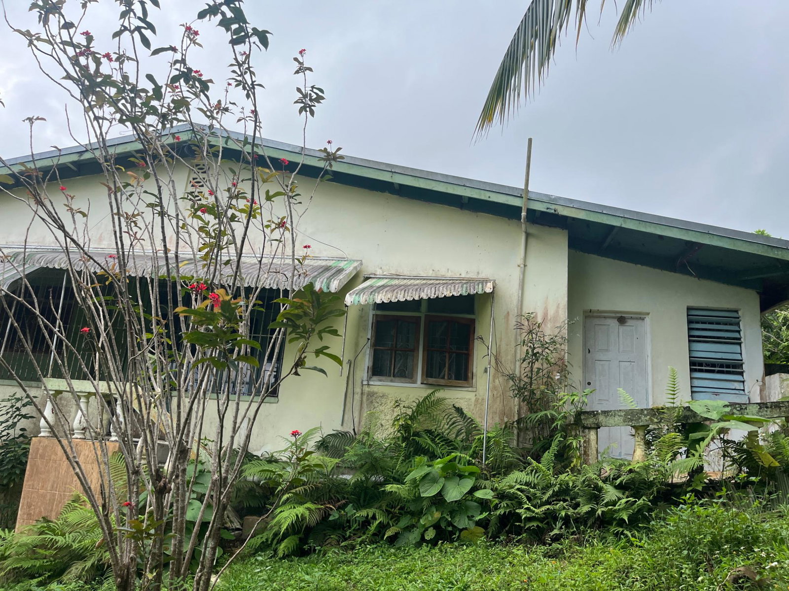 Fifth image of Lime Hall- st Ann in Lime Hall, St. Ann, Jamaica - property is For Sale