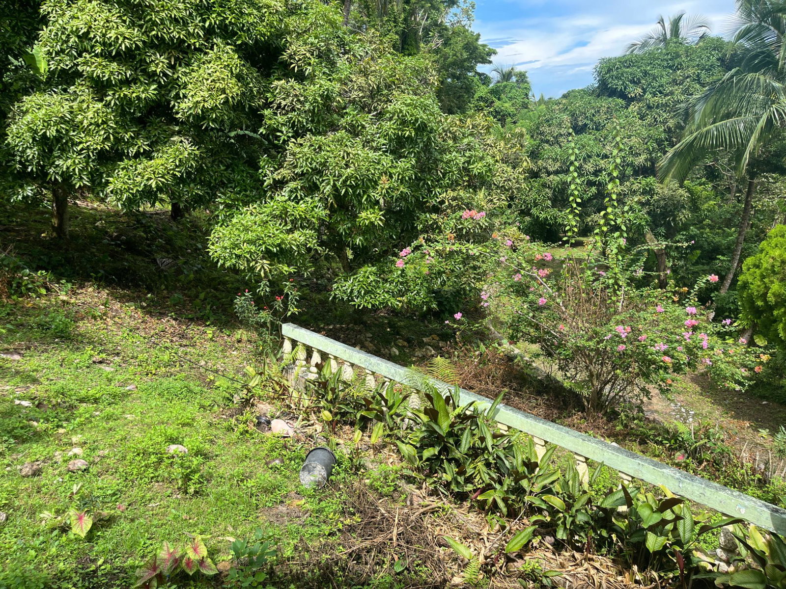 Sixth image of Lime Hall- st Ann in Lime Hall, St. Ann, Jamaica - property is For Sale