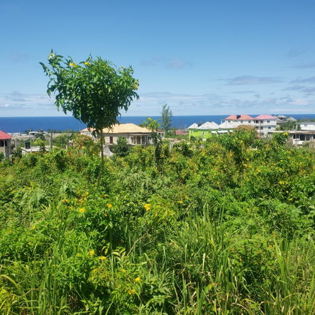 Fourth image of 505 Boscobel Heights in Boscobel Heights, St. Mary, Jamaica - property is For Sale